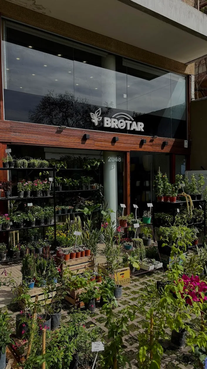 VIVERO BROTAR