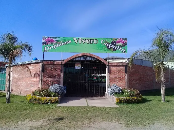 Vivero Capulin