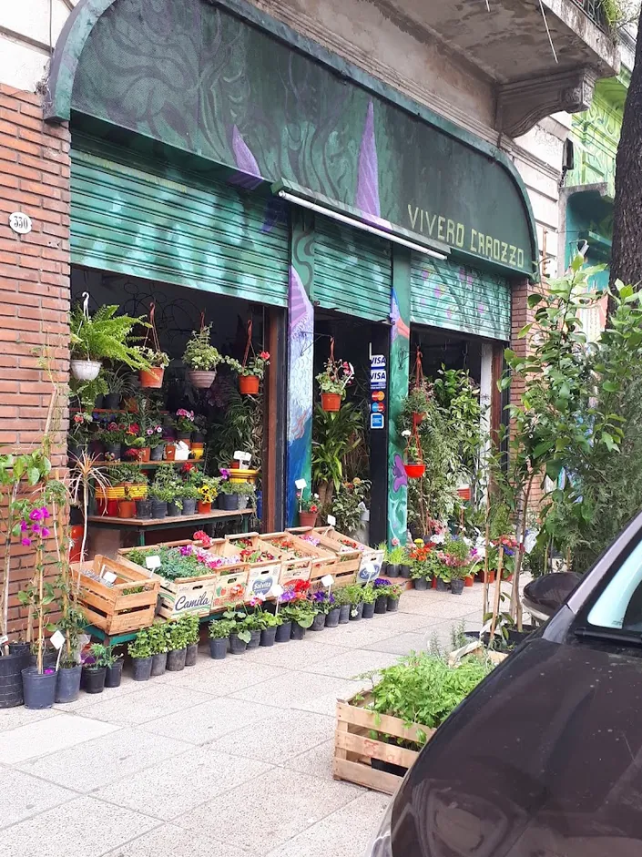 Vivero Carozzo