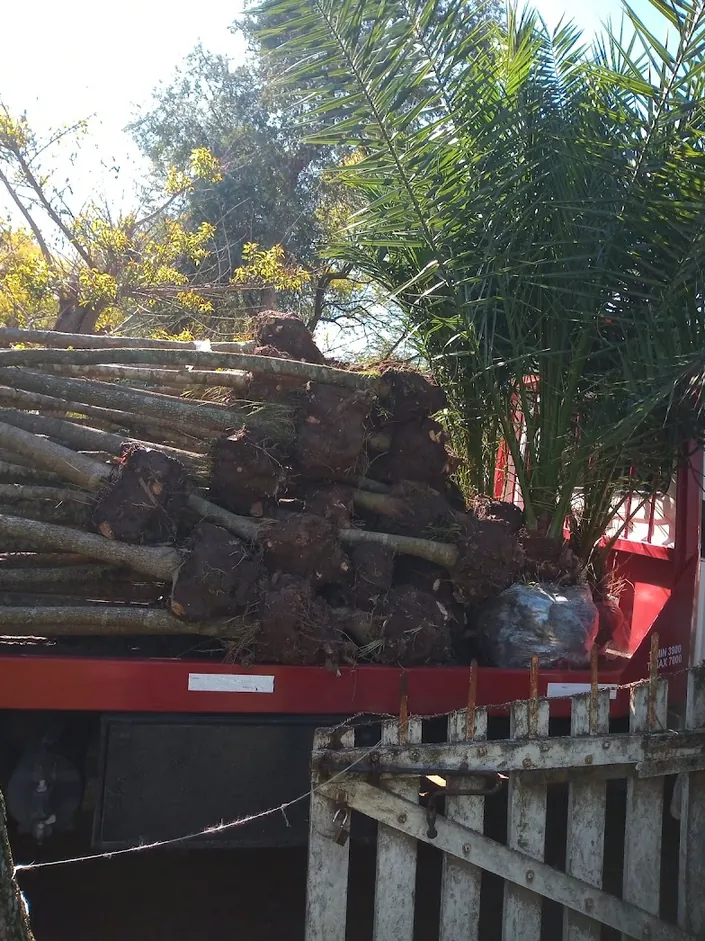 Vivero Cultivo propio El Palmar