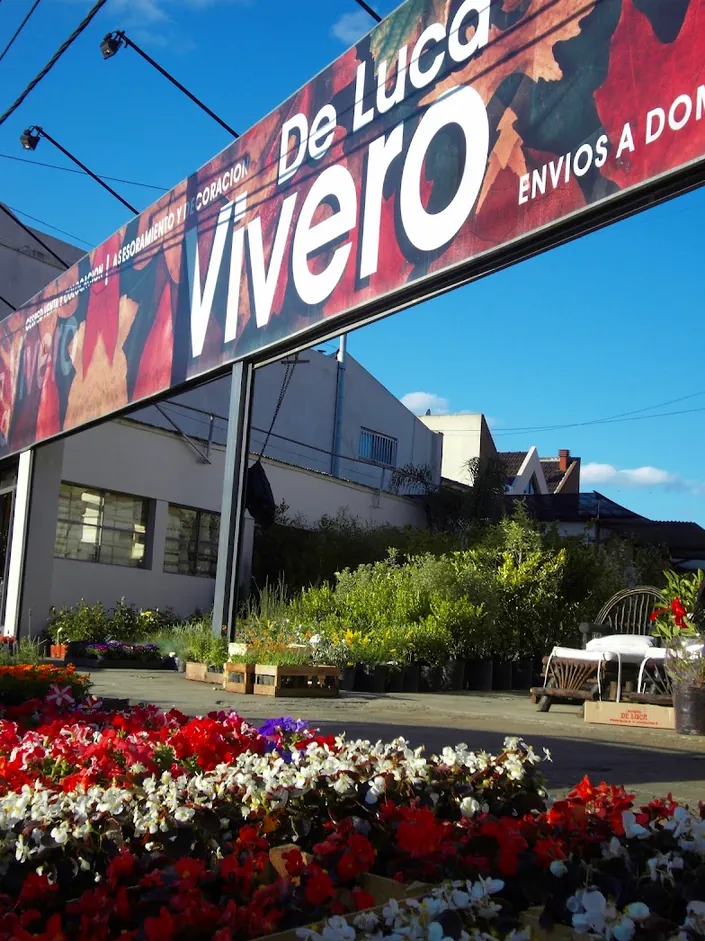 Vivero De Luca