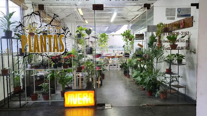 Vivero Decorplantas