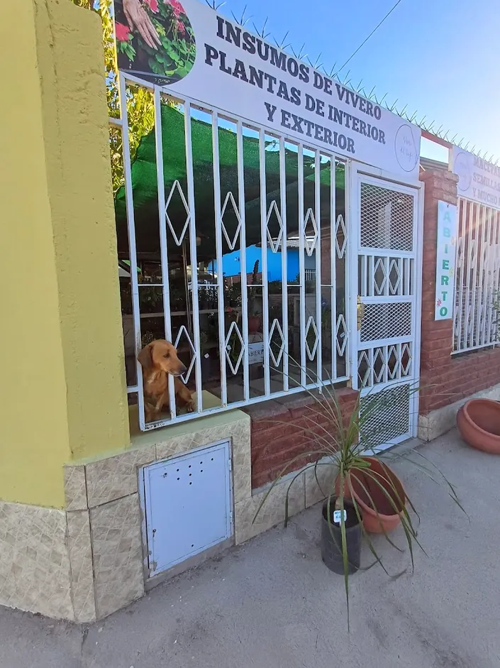 Vivero del Bajo