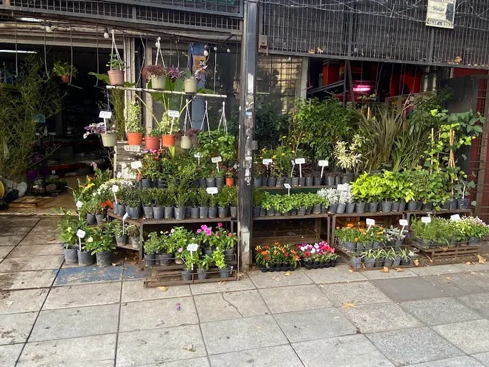 Vivero del Bosque