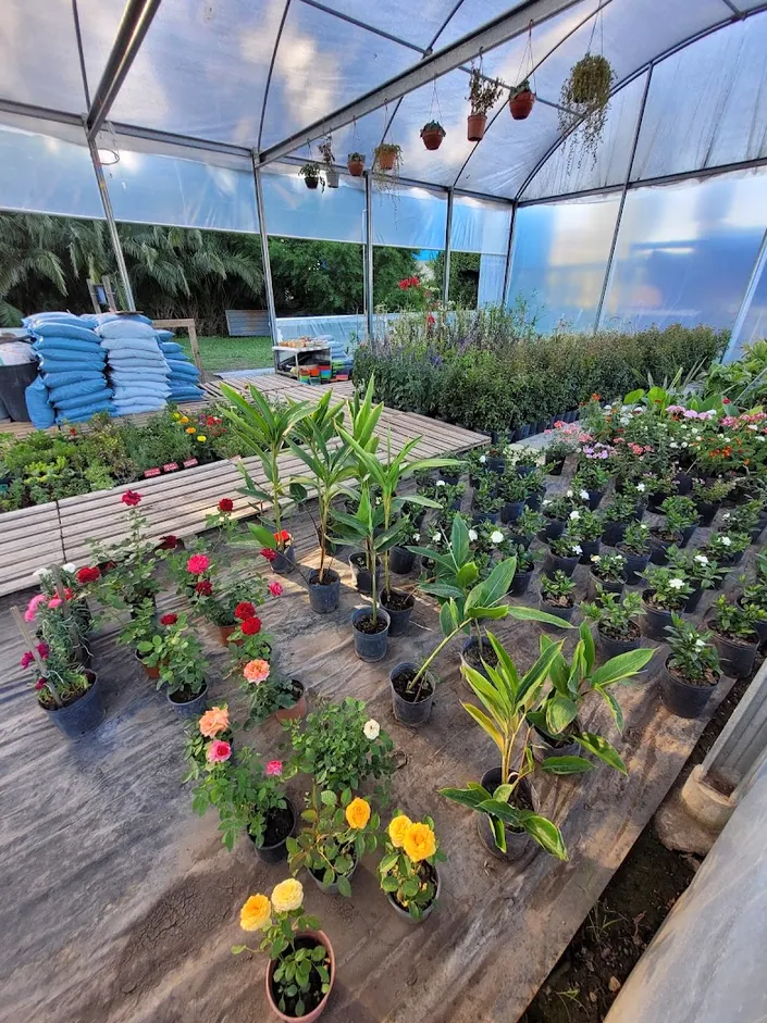 Vivero del Terruño
