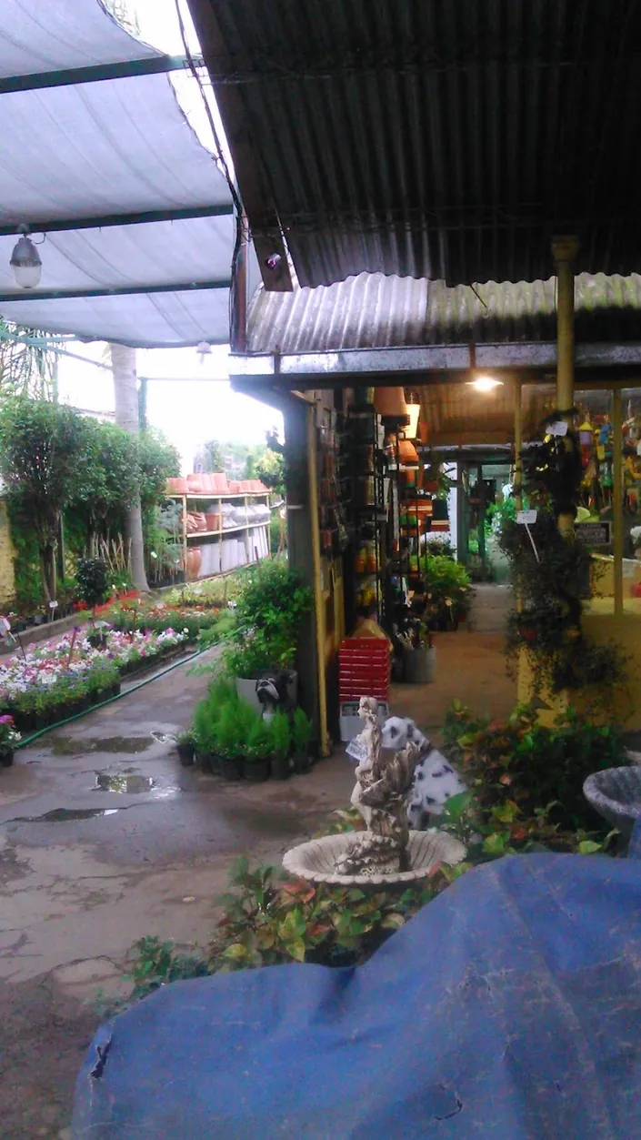 Vivero Don Felipe Centro