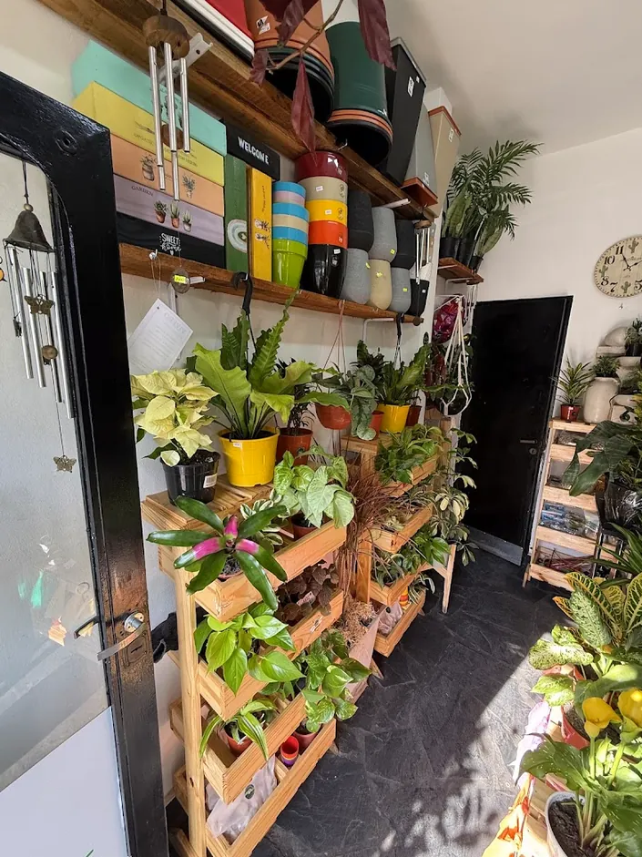Vivero eco arte