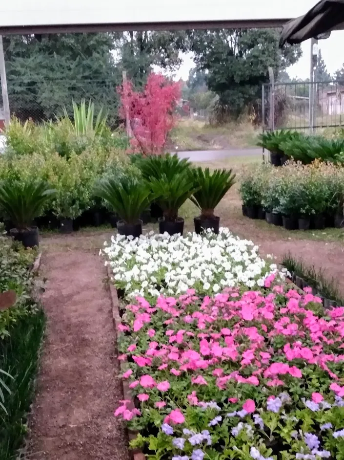 Vivero El Arado