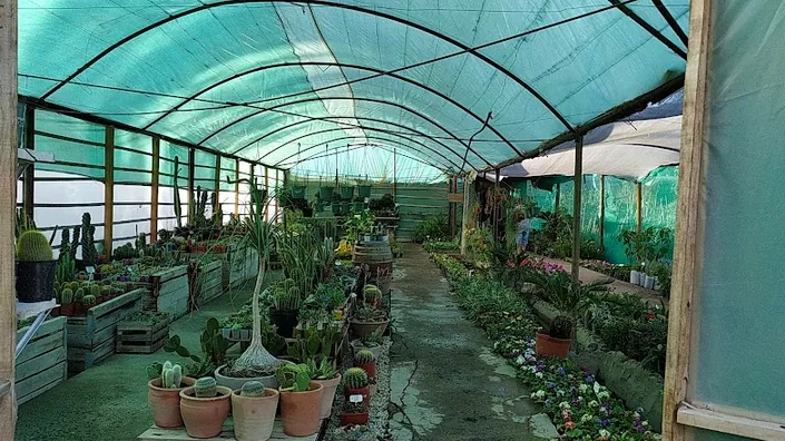 Vivero el cerezo