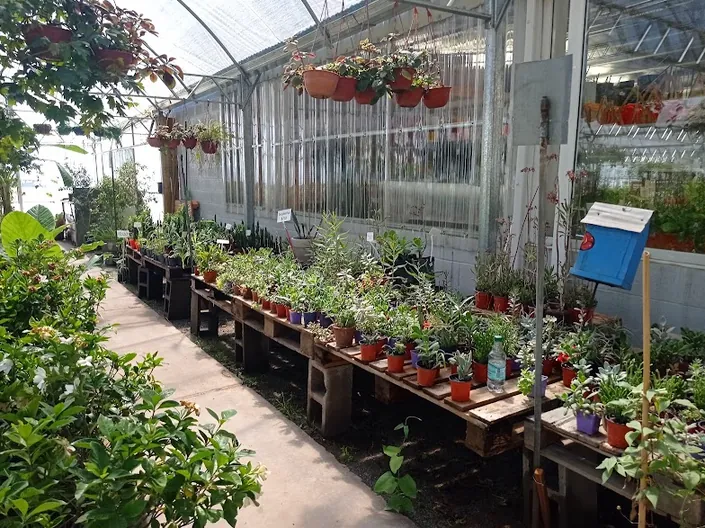 Vivero El Cerrito