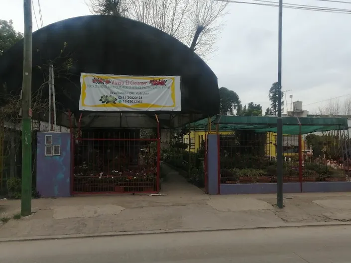 Vivero El Ciclamen