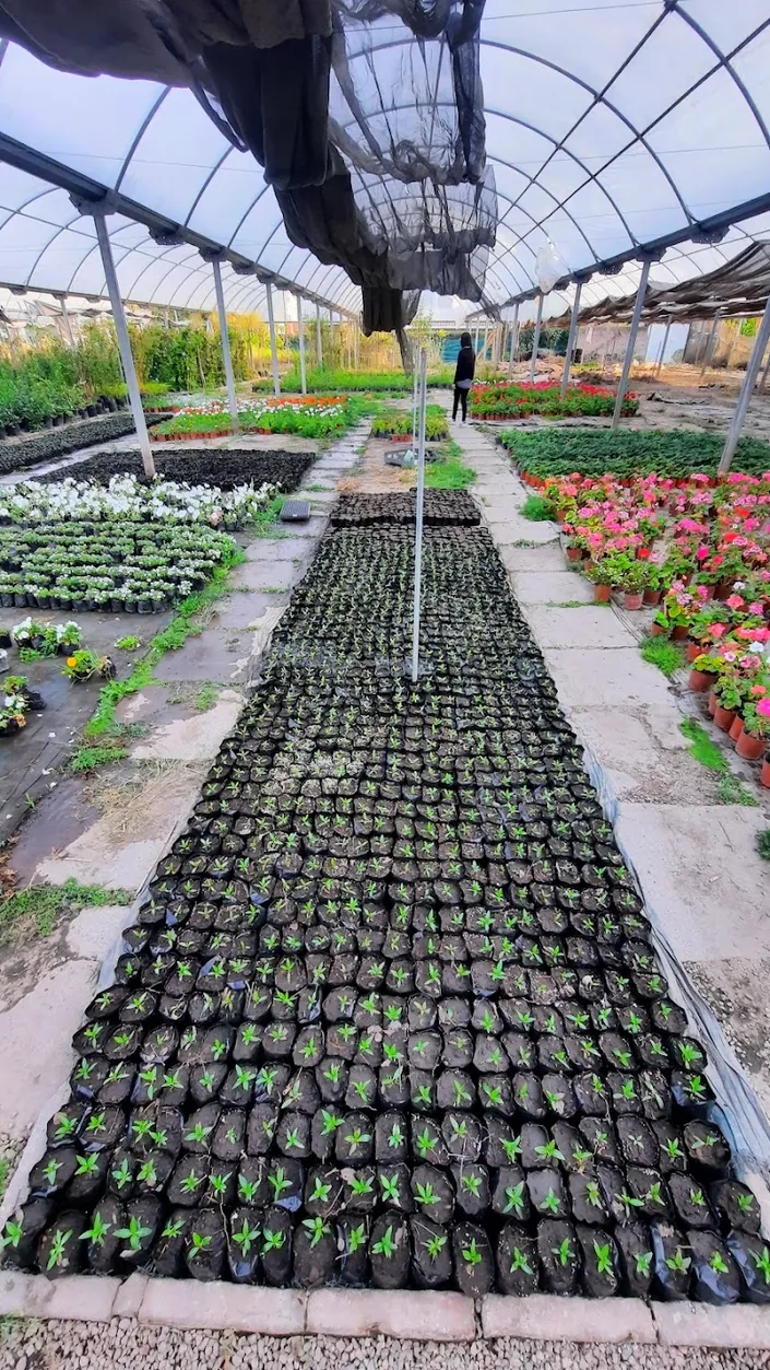 Vivero El Cristo