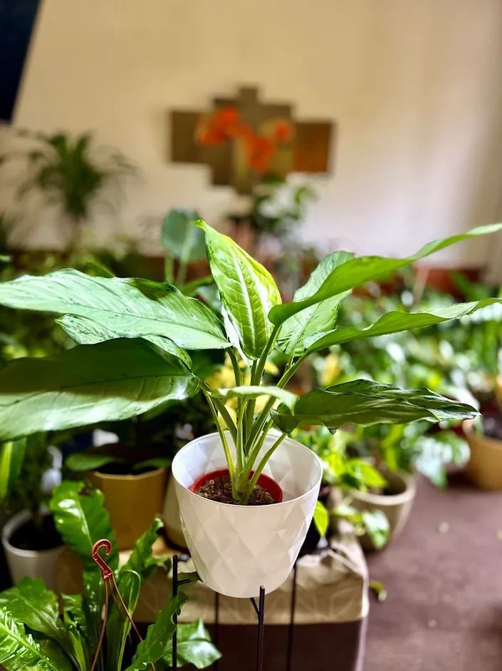 VIVERO EL JARDIN