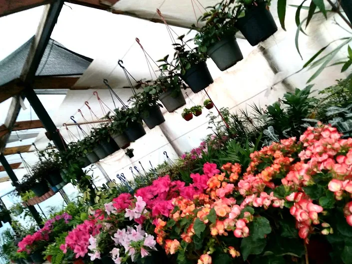 Vivero el martin
