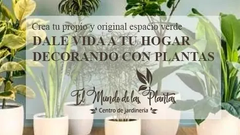 Vivero el Mundo de Las Plantas
