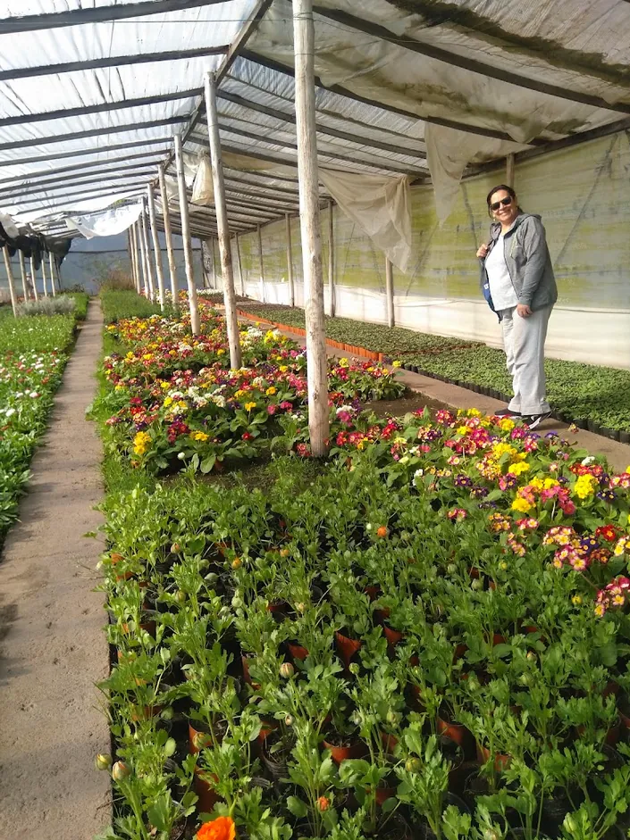 Vivero El Penacho