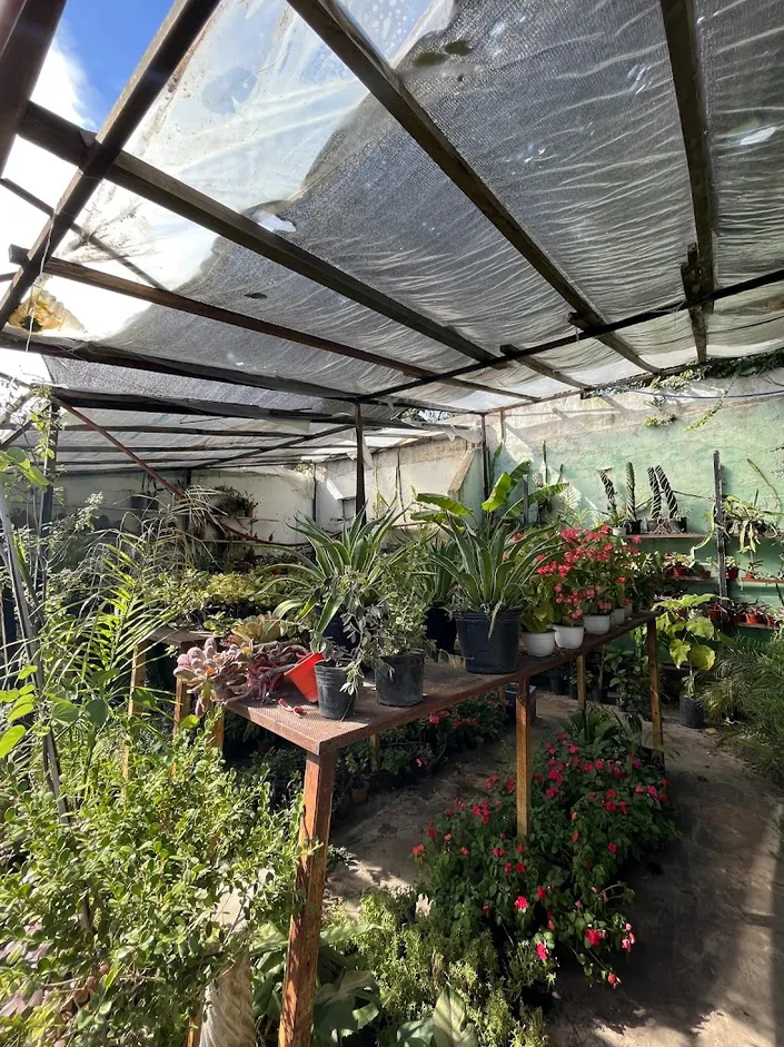 Vivero El Rincon