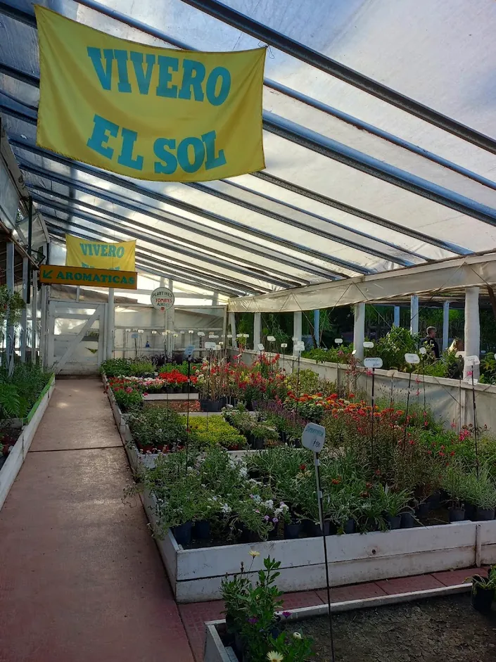 Vivero El Sol de Moreno