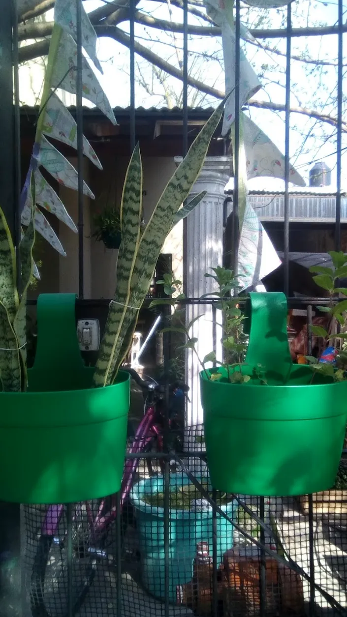 Vivero El Trebol