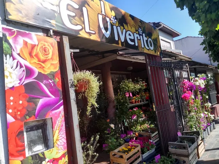 Vivero – El Viverito