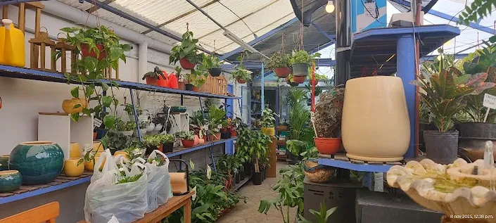 Vivero Entre Verde