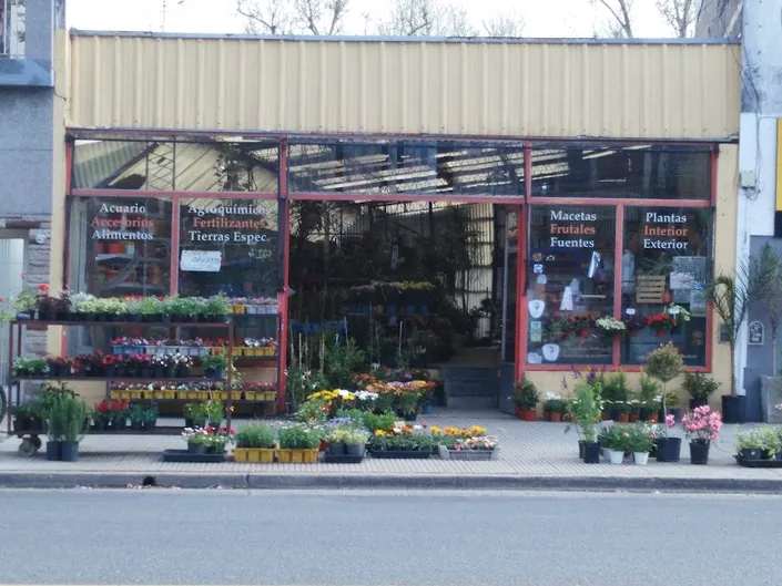 Vivero Flox
