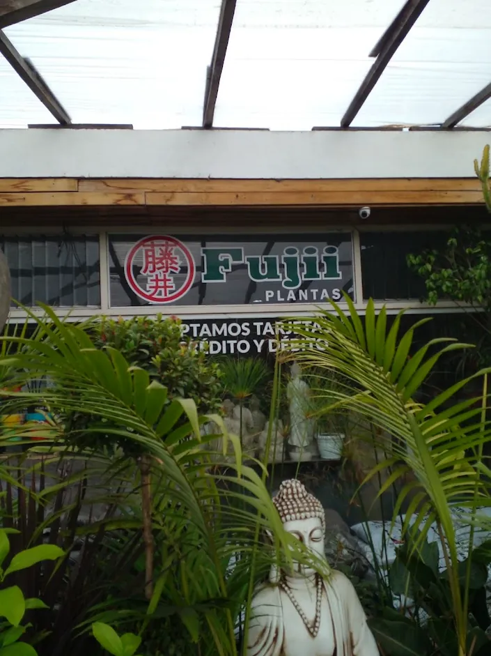 Vivero Fujii Plantas