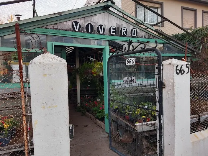 Vivero Gogo