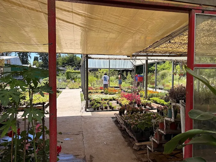 Vivero HISAKi