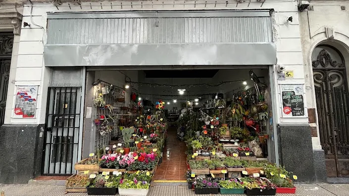 VIVERO – HOGAR JARDIN