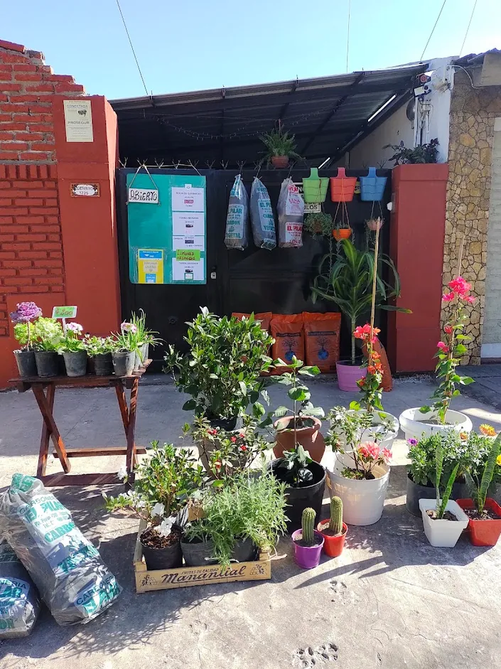 Vivero, Ituzaingó