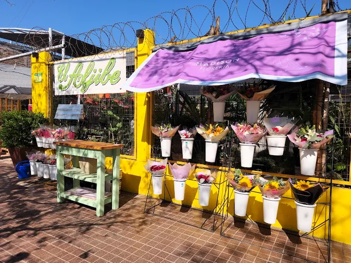 Vivero Jardín El Aljibe