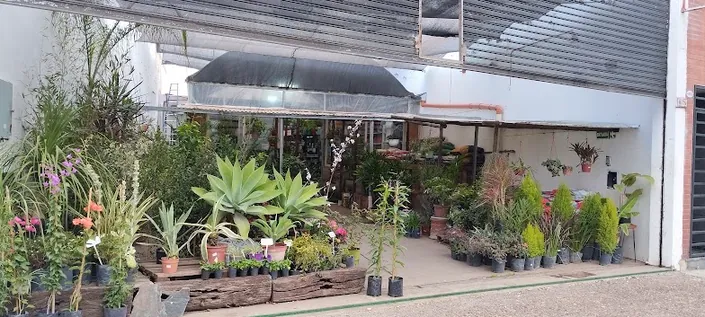 Vivero JARDÍN INTERIOR