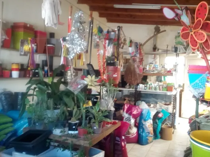 Vivero La Mora Blanca