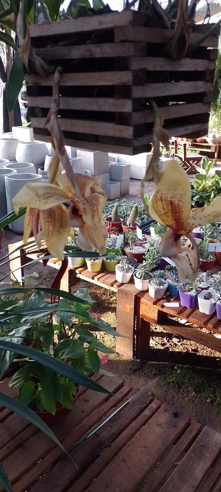 Vivero La Perla