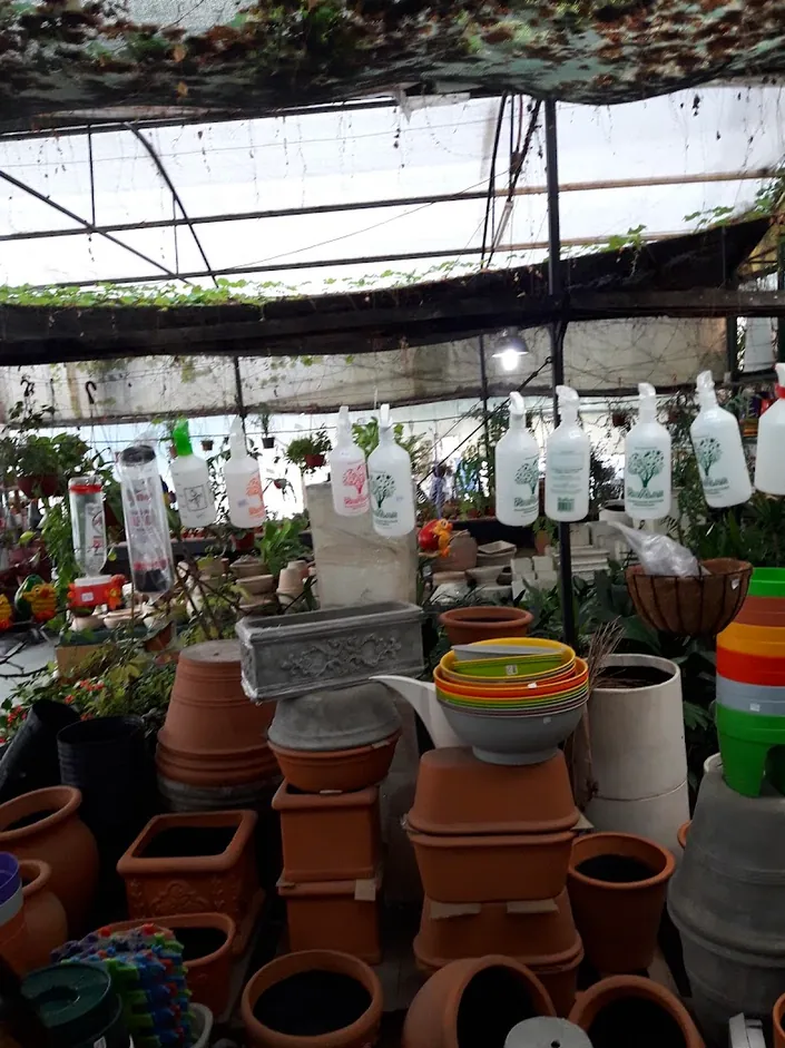 Vivero La Plantería
