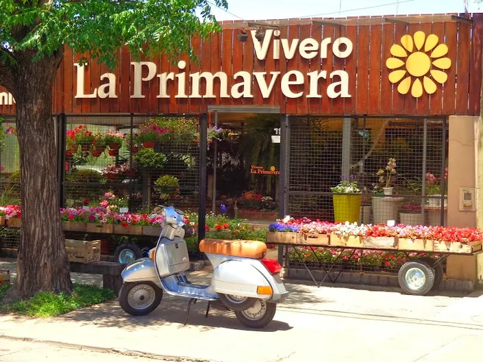 Vivero la Primavera