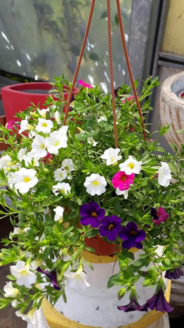 Vivero La Reja