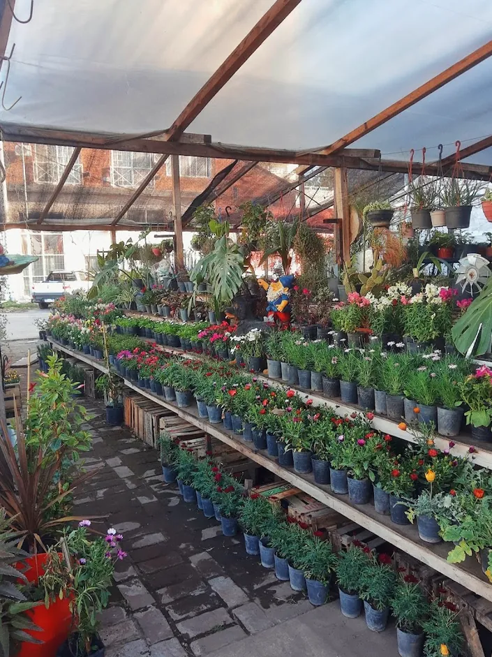 Vivero las 4 estaciones