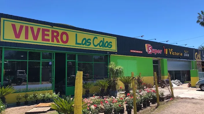 Vivero Las Calas