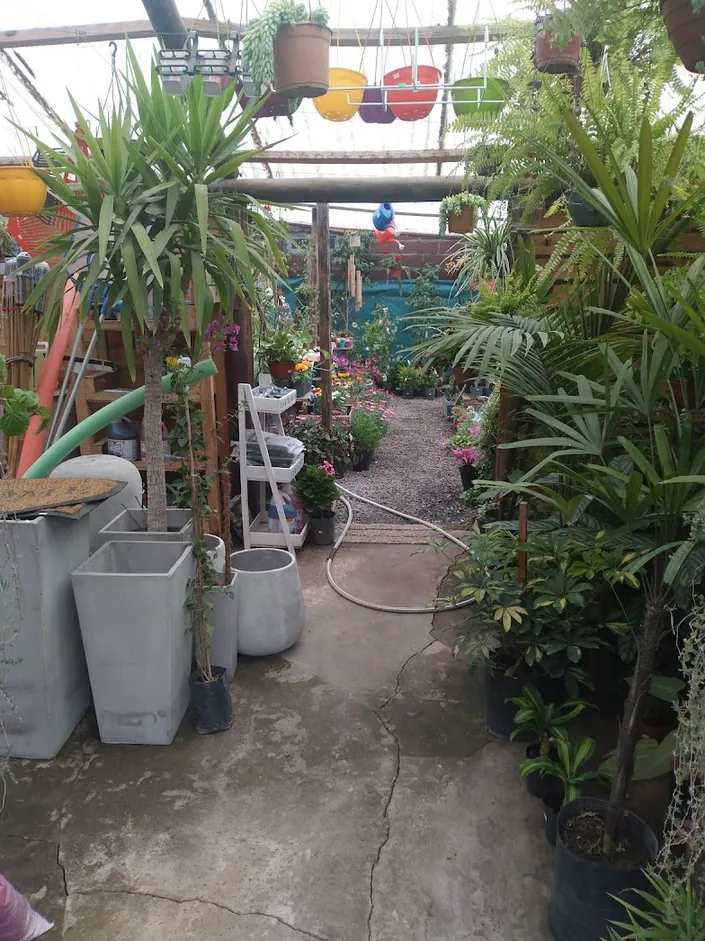 VIVERO “LAS CASUARINAS”