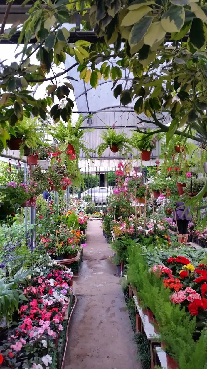 Vivero Las Heras