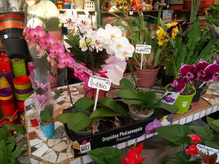 Vivero Las Lomas