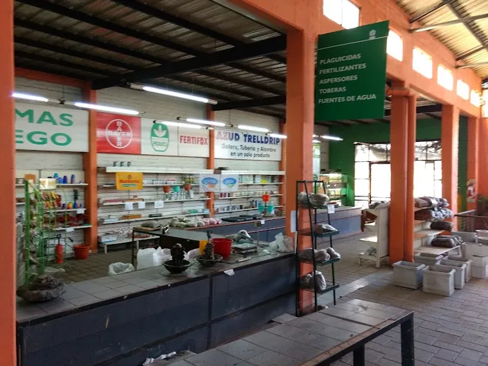 VIVERO LAS VERBENAS