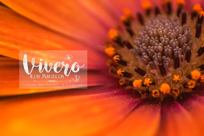 Vivero Los Abuelos