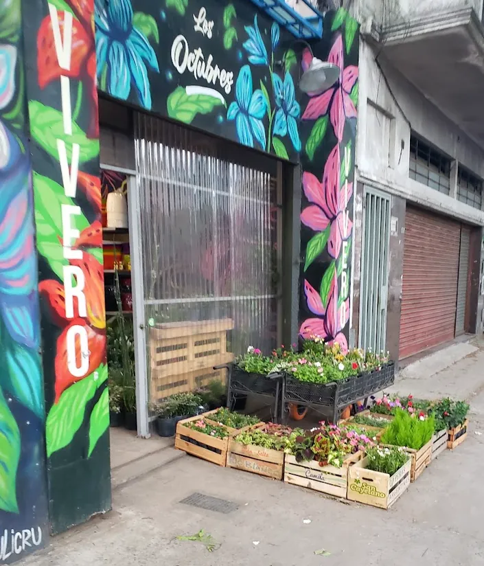 Vivero Los Octubres en Primavera