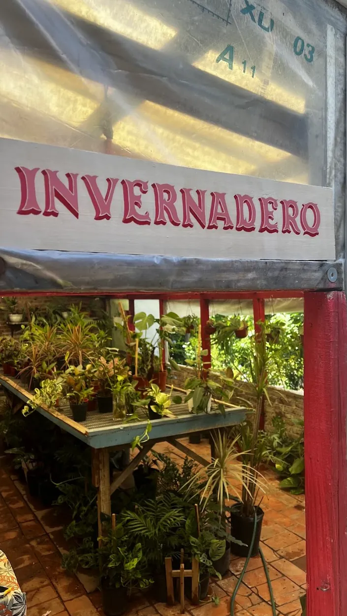 Vivero Madre Selva