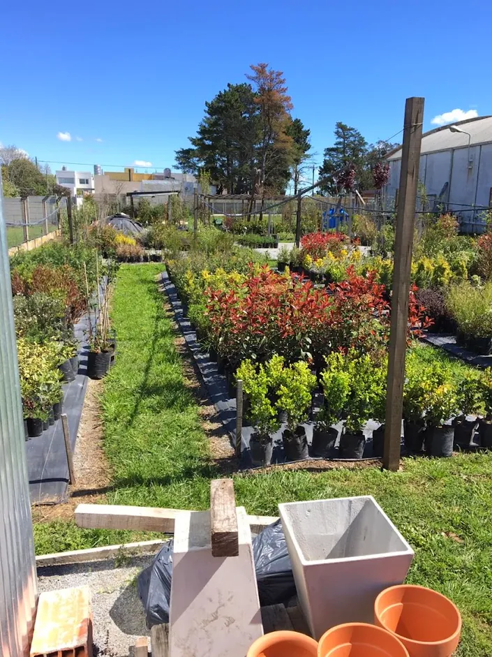 VIvero MARANATHA