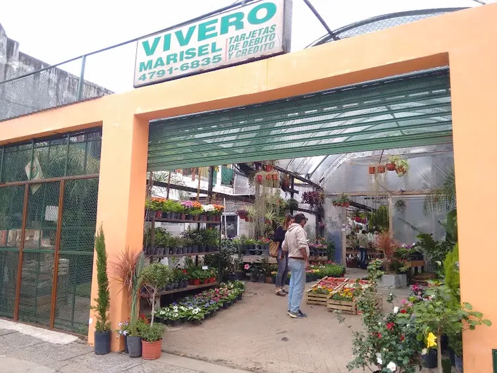 Vivero Marisel