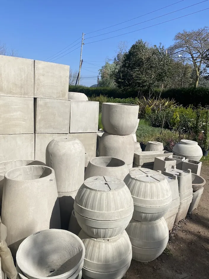 Vivero Mariza